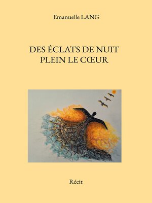 cover image of Des éclats de nuit plein le cœur